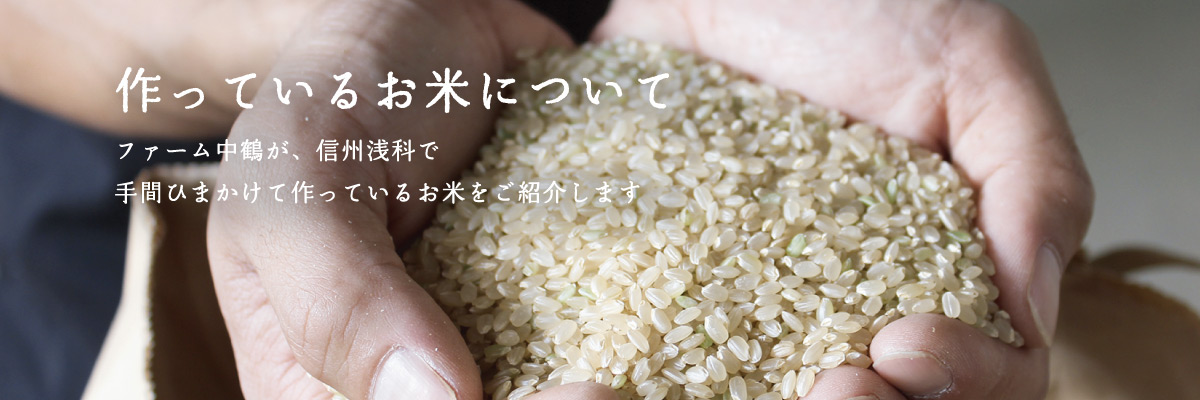 作っているお米について：ファーム中鶴は、信州浅科で手間ひまかけてお米を作っています。
